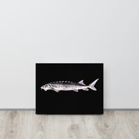 Sturgeon Thin canvas