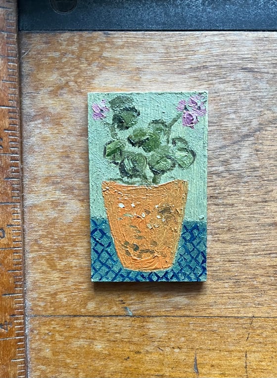 Image of Tiny geranium 