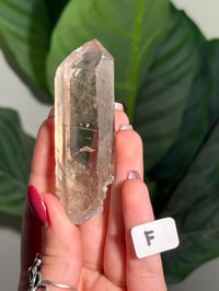 Image 6 of CHOOSE YOUR OWN NATURAL (UNPOLISHED) RUTILE IN QUARTZ POINT -BRAZIL-