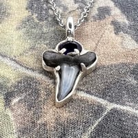 Image 2 of Shark Tooth + Amethyst Pendant