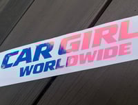 Image 1 of Oil Slick Worldwide Windshield Banner 