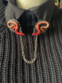 Image 4 of Worm Sweater & Collar clips
