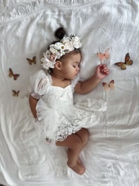 Image 5 of Monarch Beauty (Set of 6)