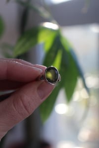 Image 1 of Peridot Dot 