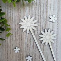 Image 1 of Decorative Reed Sticks