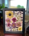 Sunflower, Cosmos, Chrysanthemum And Veronica Wildflowers in 8" X 10" Shadow Box (Item# 202207LS)