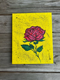 11x14 Rose