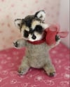 Plum the cute raccoon