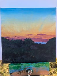 Image 1 of Padre National Seashore