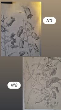 Image 4 of Les grands dessins (2 dispos)