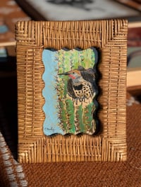 Northern Flicker Original 