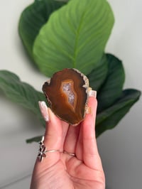 MOODY CONDOR AGATE -ARGENTINA- #24 OTHER HALF