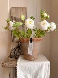 Image 3 of Large Frill Rustic Pot