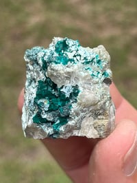 Image 5 of Dioptase On Matrix Specimen #2618