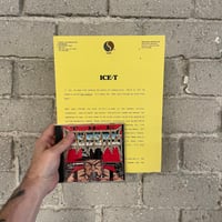Ice-T – The Iceberg - Original promo C.D with press sheet! 