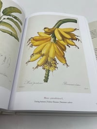 Image 6 of The Book of Flowers. 45th Ed.