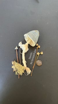 Image 1 of Blue cap mushroom brooch 