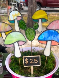 Image 1 of Custom Color Mushroom