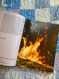 Image 2 of Moon Dust, Robert LeBlanc, 2021.