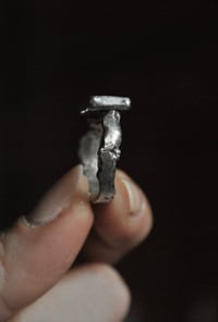 Image 4 of Foresta d’inverno