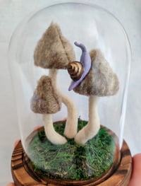 Plushroom Cluster Cloche Display with Snail Friend