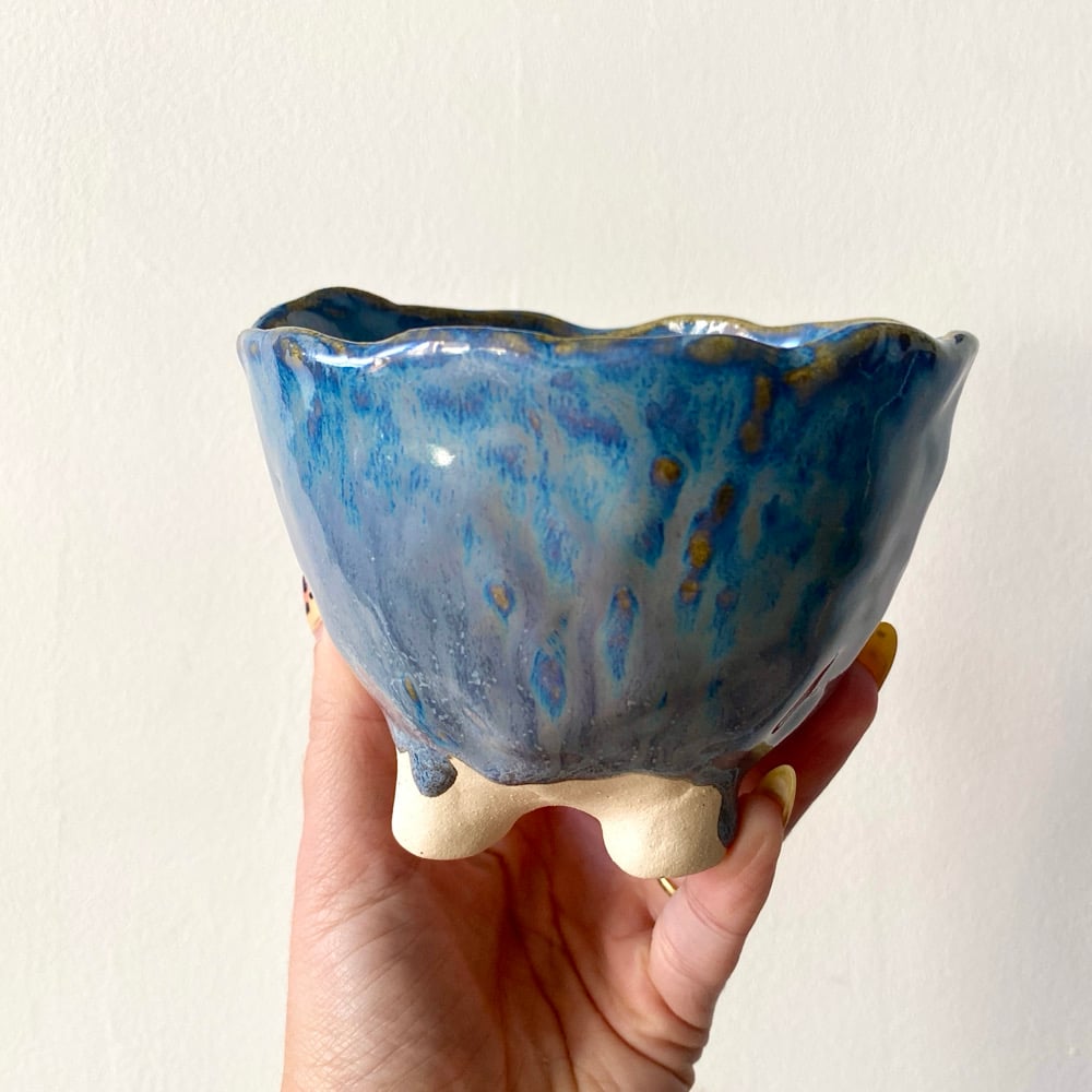 Image of Large Plant Pot #1