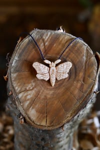 Image 7 of Moth Pendant Necklace 