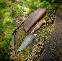 Image 1 of TRACKER • No.25