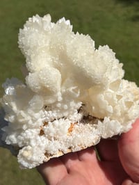 Image 6 of White Calcite Crystal Reef Formation Specimen #1240