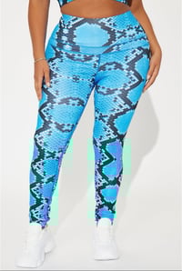 Blue Snake