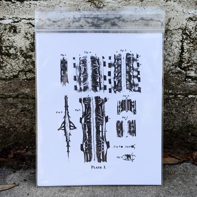 Fig. 2: Gemengung – 'Superlative Rumination' CD-R