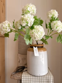Image 3 of The Snowball Bouquet  ( 3 options )