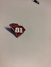 81 state pin