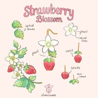 Image 2 of Strawberry Blossom Earrings