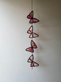 Image 4 of Butterflies V13