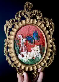Image 3 of Blue Buckeye Butterfly Botanical Frame