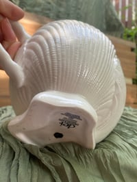 Image 4 of Freckled Splash Hoya in Majorca Seashell Pitcher 