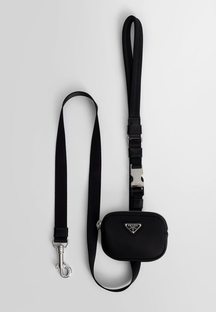 prada leash