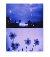 Image 1 of NIGHT DRIVE, DAFFODILS II