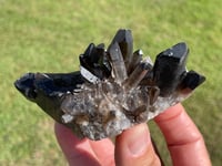 Image 8 of Smoky Quartz Crystal Points Cluster #2002