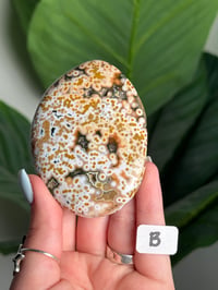 Image 2 of XL CHOOSE YOUR OWN ORBICULAR VEINLESS OCEAN JASPER PALM STONES -MADAGASCAR- 