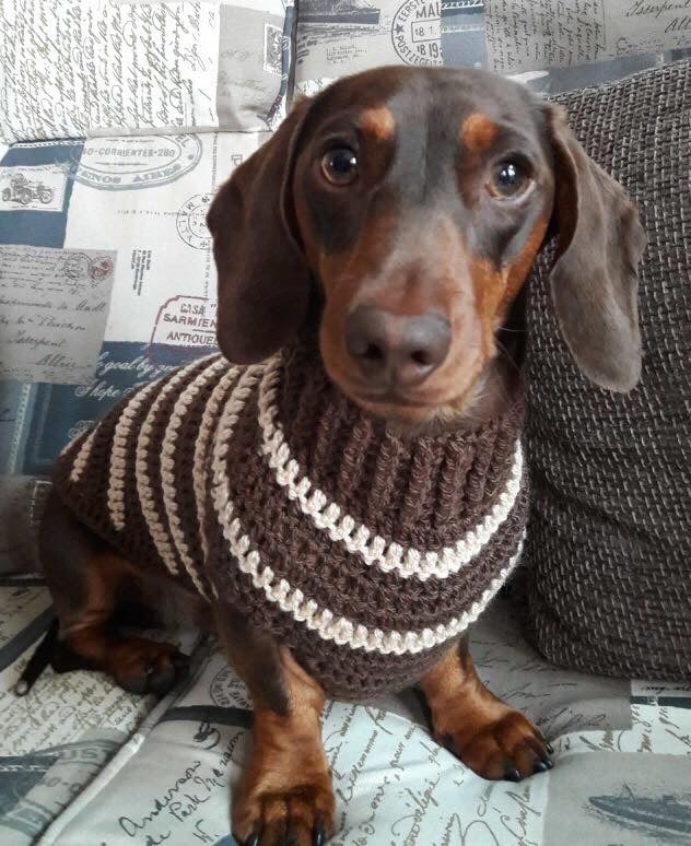 Image of Snazzy Breton Stripes