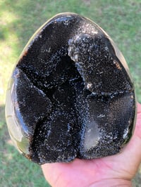 Image 15 of Septarian Nodule Polished Freeform | Madagascar #2897