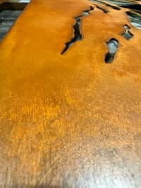 Image 11 of The Resilient Timber