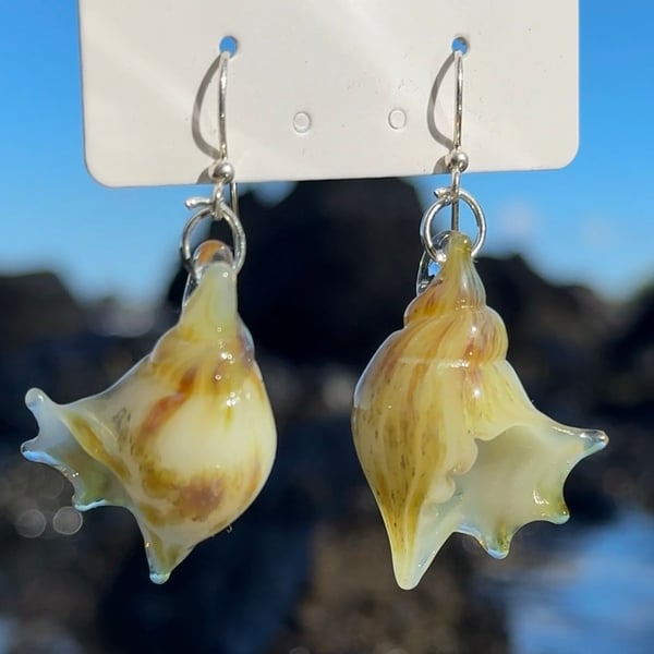 Image of White Coral Shell Earrings
