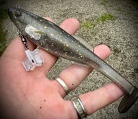 Image 1 of 6” Cutt Throat RIGGED Swimbaits - “CRICK CHUB”