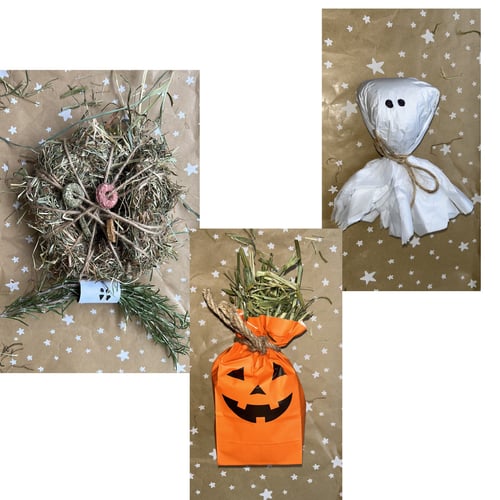 Image of Individual Halloween enrichment toys and treats 