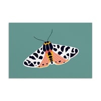 Moth (Teal Background) Print