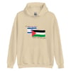 Gaza Centrism Hoodie