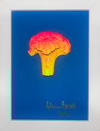 Nirvana Broccoli 